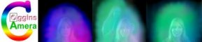 Karrie Banner60